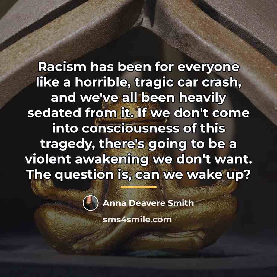 “Racism has been for everyone like a horrible, tragic car…” quote by Anna Deavere Smith