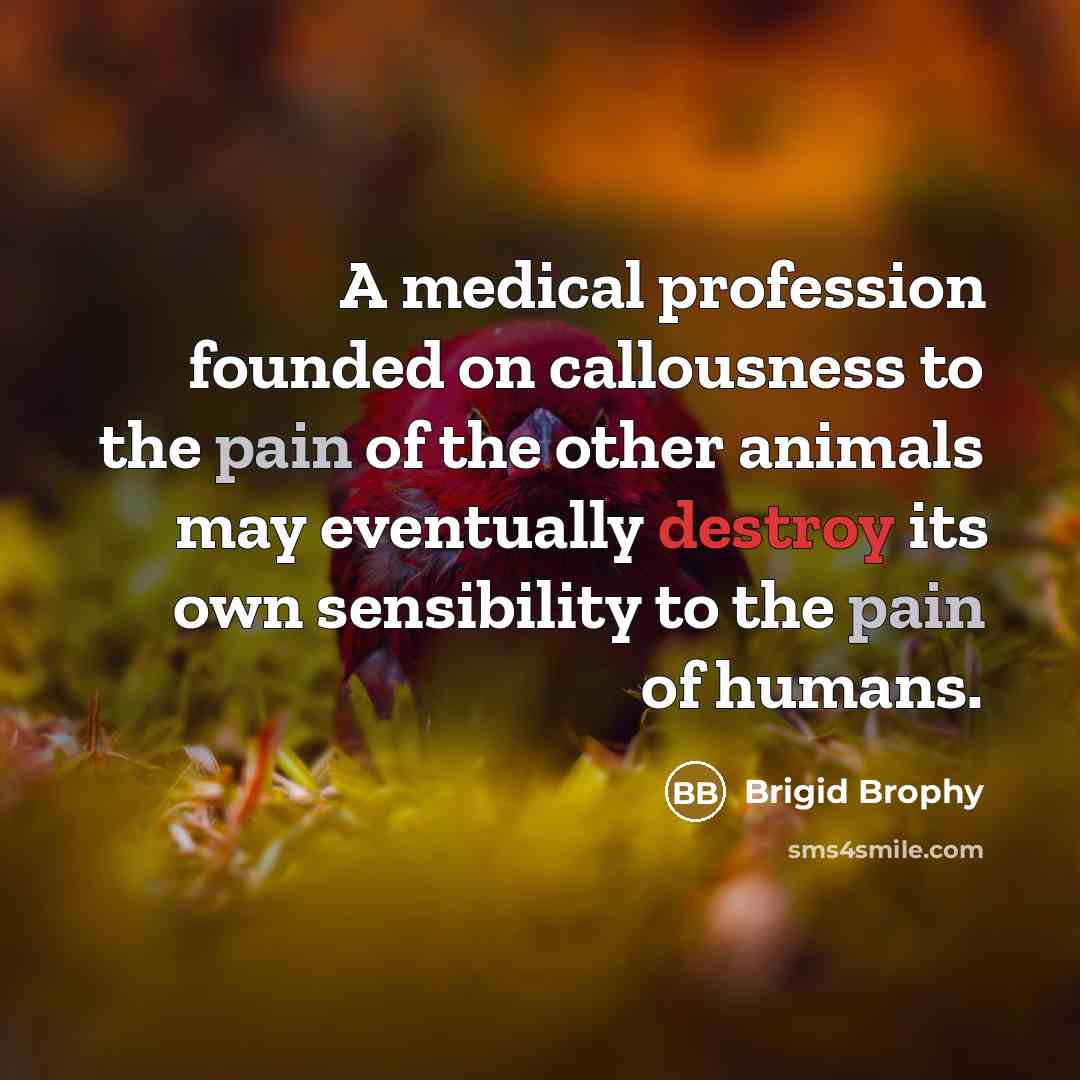 “A medical profession founded on callousness to the pain of…” quote by Brigid Brophy