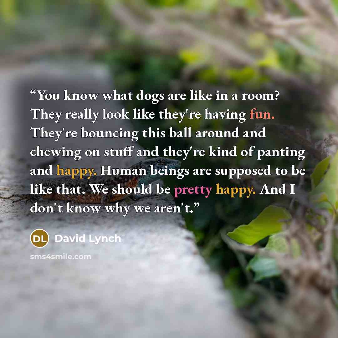 “You know what dogs are like in a room? They really look like they're having fun. They're bouncing this ball around and chewing on stuff and they're kind of panting and happy. Human beings are supposed to be like that. We should be pretty happy. And I don't know why we aren't.” quote by David Lynch