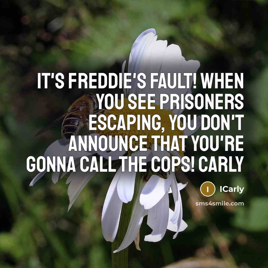 “It's Freddie's fault! When you see prisoners escaping, you don't…” quote by ICarly