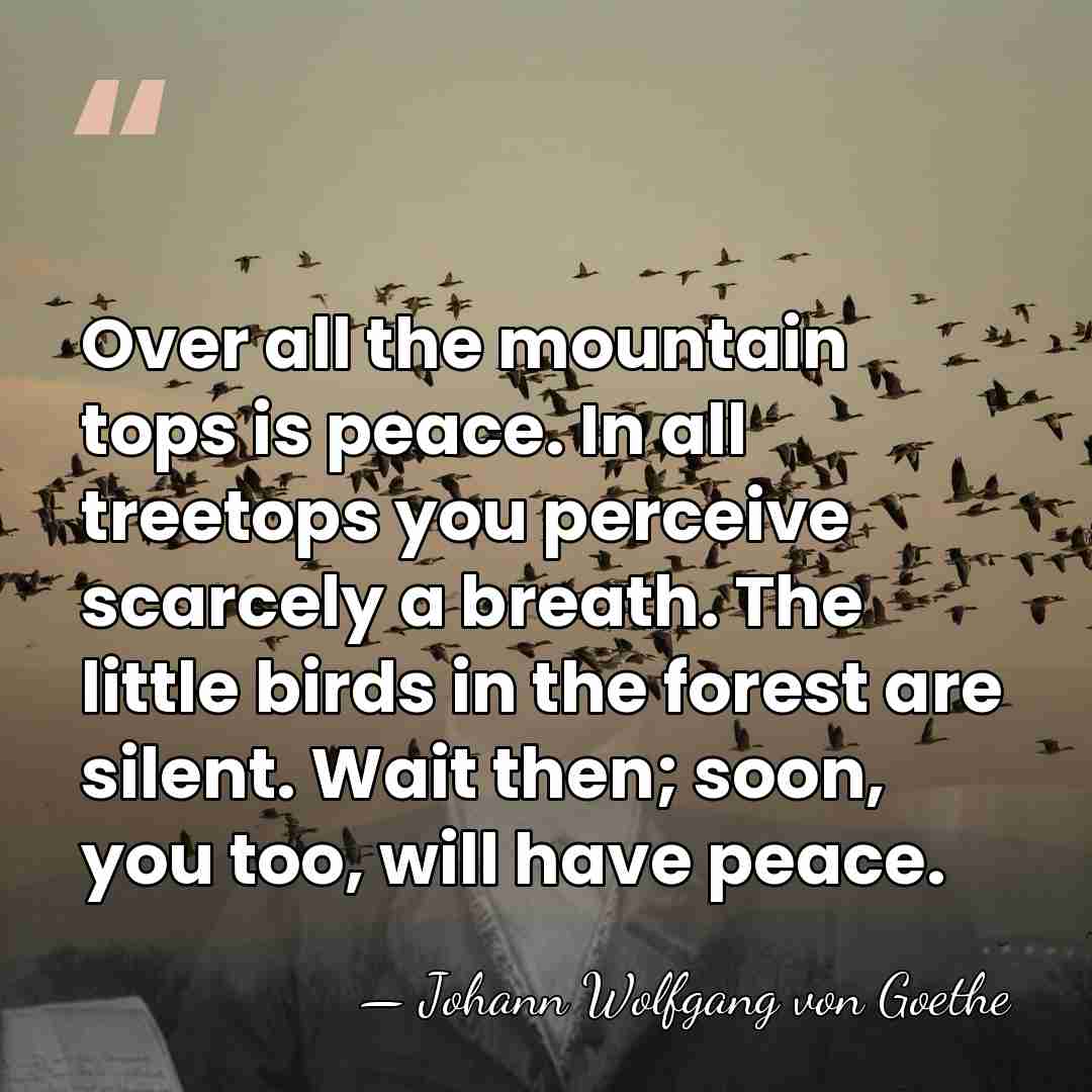 Over all the mountain tops is peace. In all treetops you perceive&hellip; - Johann Wolfgang von Goethe
