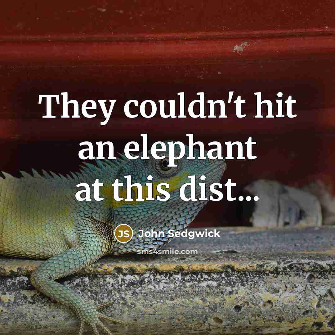 “They couldn't hit an elephant at this dist...…” quote by John Sedgwick