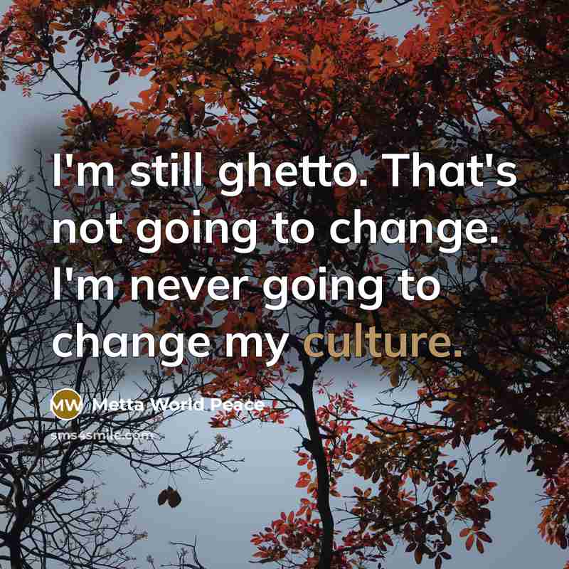 “I'm still ghetto. That's not going to change. I'm never…” quote by Metta World Peace
