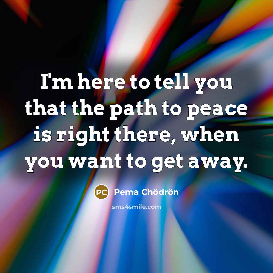 “I'm here to tell you that the path to peace…” quote by Pema Chodron