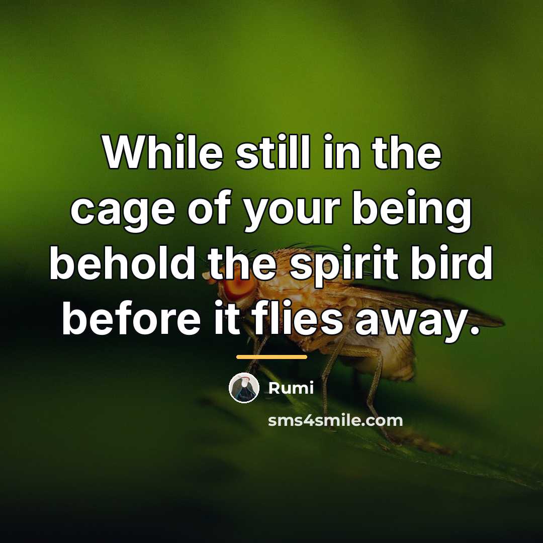 “While still in the cage of your being behold the…” quote by Rumi