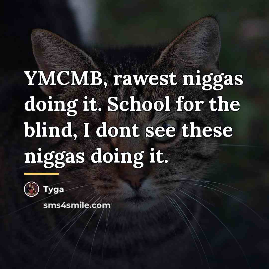“YMCMB, rawest niggas doing it. School for the blind, I…” quote by Tyga