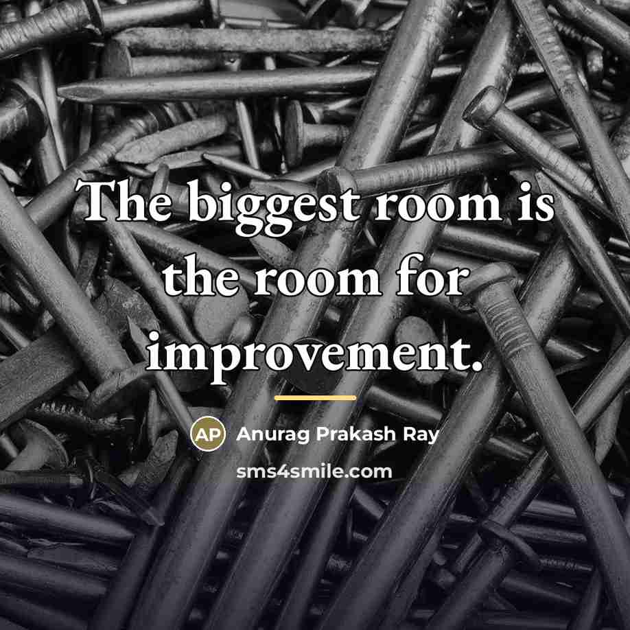 “The biggest room is the room for improvement.…” quote by Anurag Prakash Ray