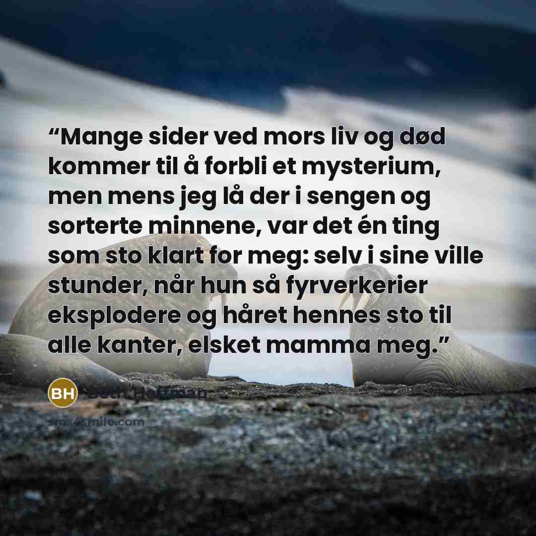 “Mange sider ved mors liv og død kommer til å forbli et mysterium, men mens jeg lå der i sengen og sorterte minnene, var det én ting som sto klart for meg: selv i sine ville stunder, når hun så fyrverkerier eksplodere og håret hennes sto til alle kanter, elsket mamma meg.” quote by Beth Hoffman