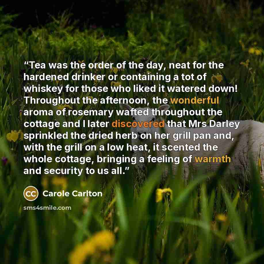 “Tea was the order of the day, neat for the hardened drinker or containing a tot of whiskey for those who liked it watered down! Throughout the afternoon, the wonderful aroma of rosemary wafted throughout the cottage and I later discovered that Mrs Darley sprinkled the dried herb on her grill pan…” quote by Carole Carlton