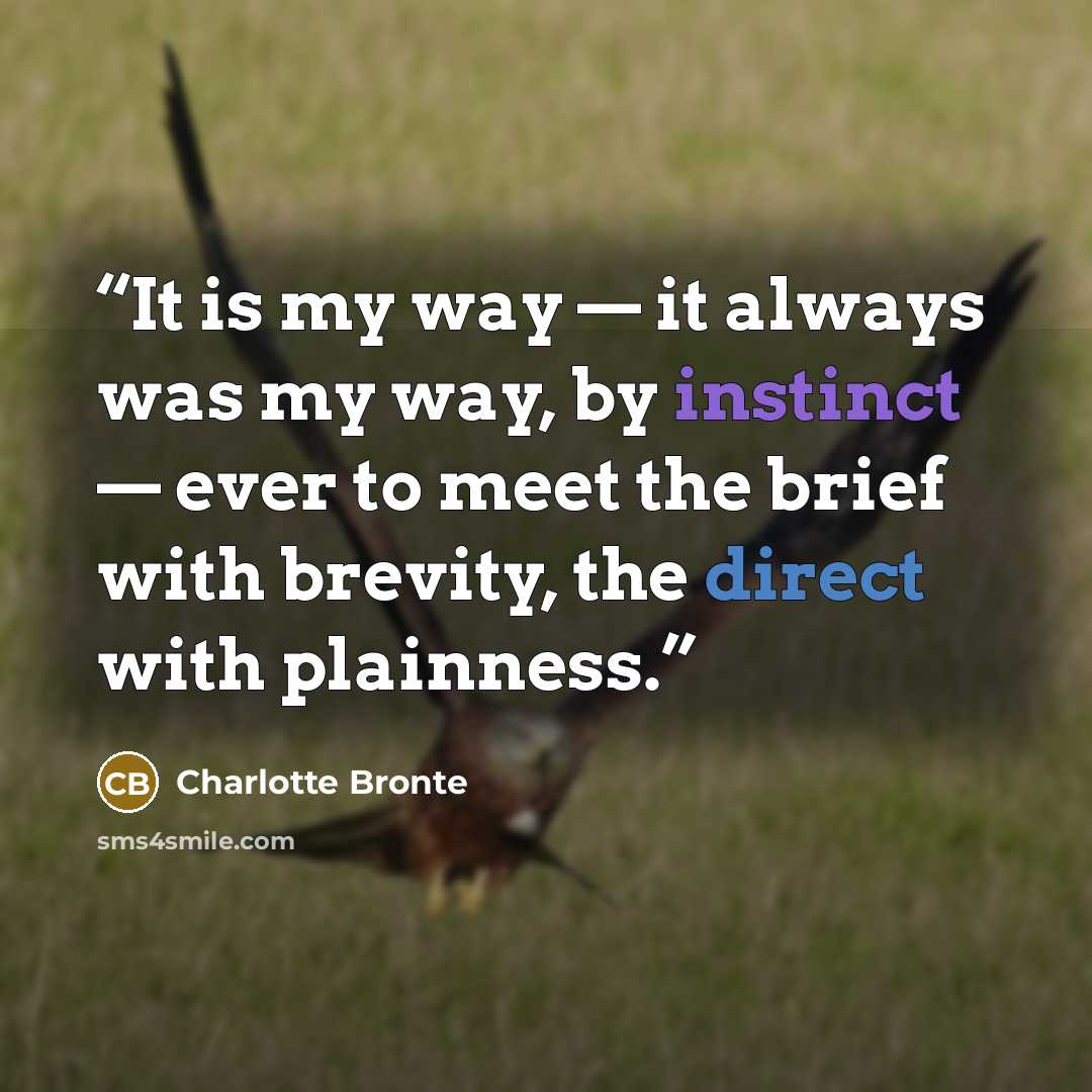“It is my way — it always was my way, by instinct — ever to meet the brief with brevity, the direct with plainness.” quote by Charlotte Brontë