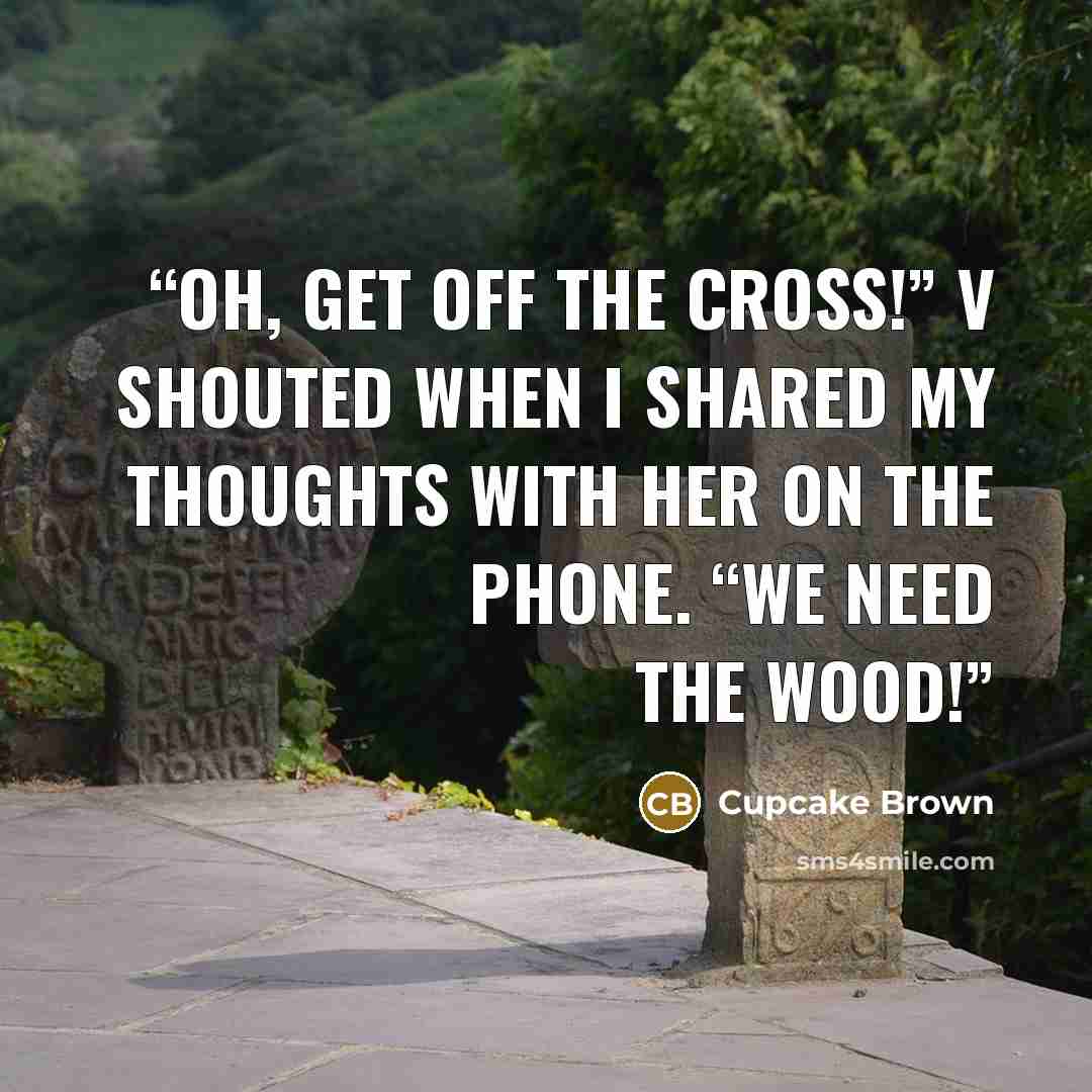 “Oh, get off the cross!” V shouted when I shared my thoughts with her on the phone. “We need the wood!” quote by Cupcake Brown