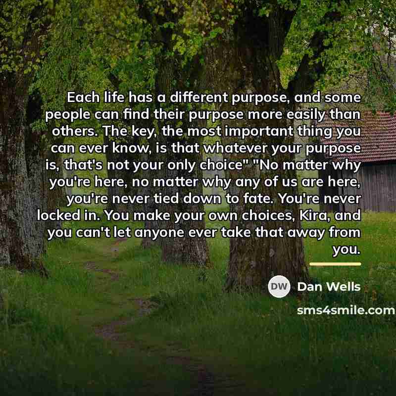 “Each life has a different purpose, and some people can…” quote by Dan Wells
