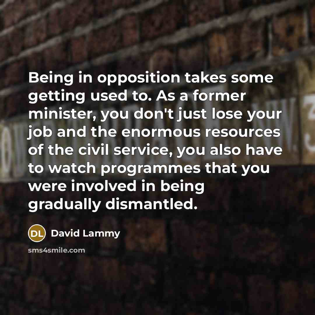 “Being in opposition takes some getting used to. As a…” quote by David Lammy