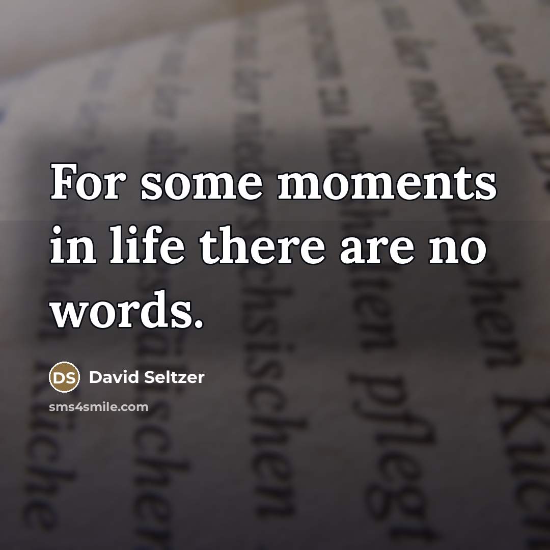 “For some moments in life there are no words.…” quote by David Seltzer