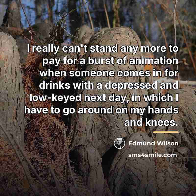 “I really can't stand any more to pay for a…” quote by Edmund Wilson