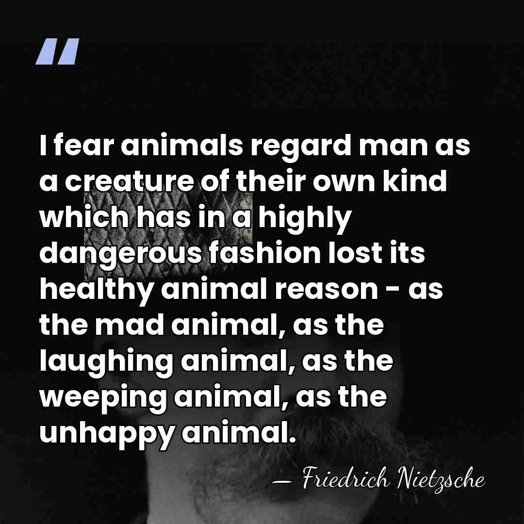 I fear animals regard man as a creature of their own kind&hellip; - Friedrich Nietzsche
