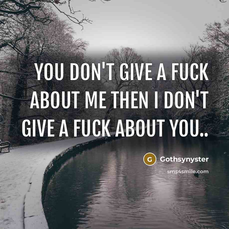 “You don't give a fuck about me then I don't…” quote by Gothsynyster