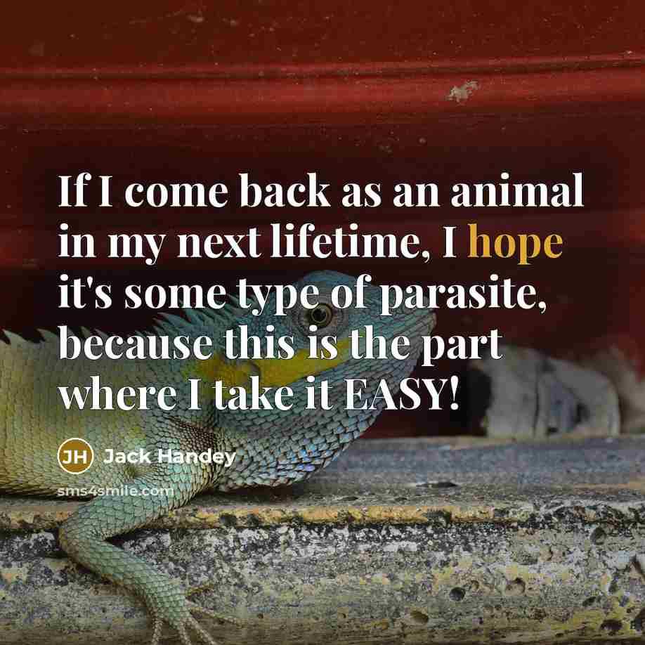 “If I come back as an animal in my next…” quote by Jack Handey
