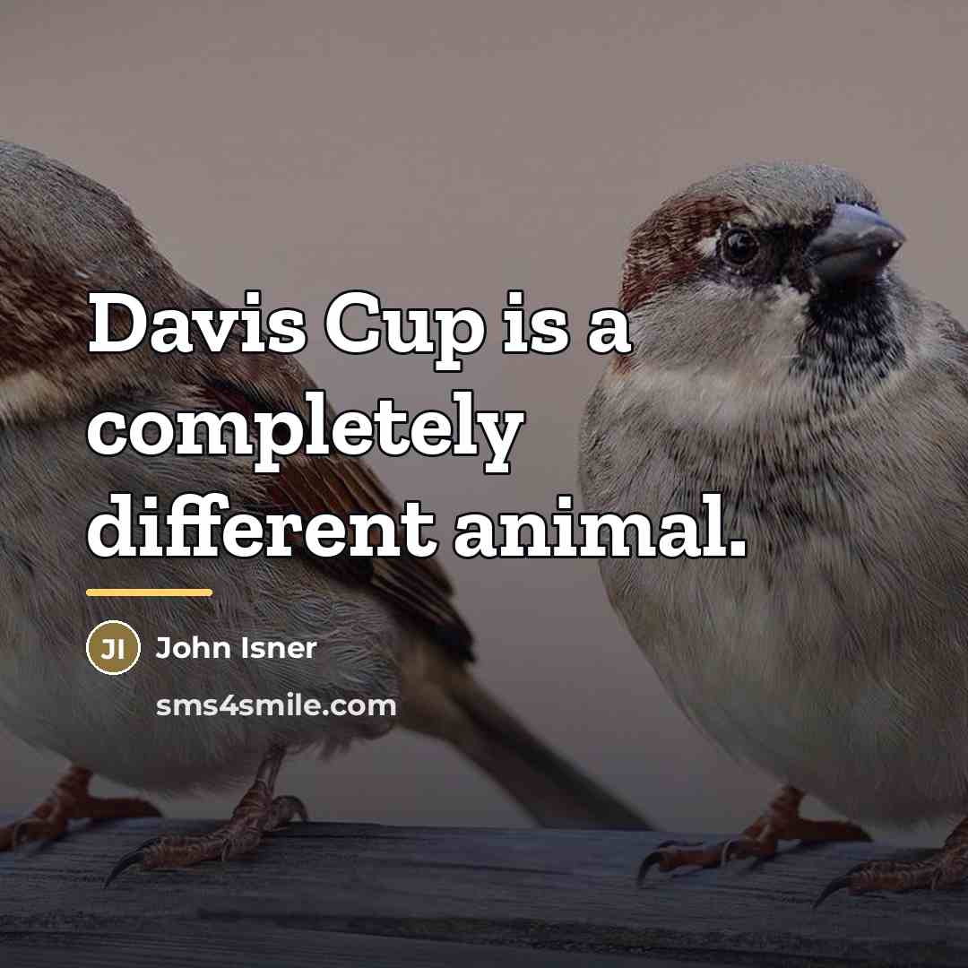“Davis Cup is a completely different animal.…” quote by John Isner