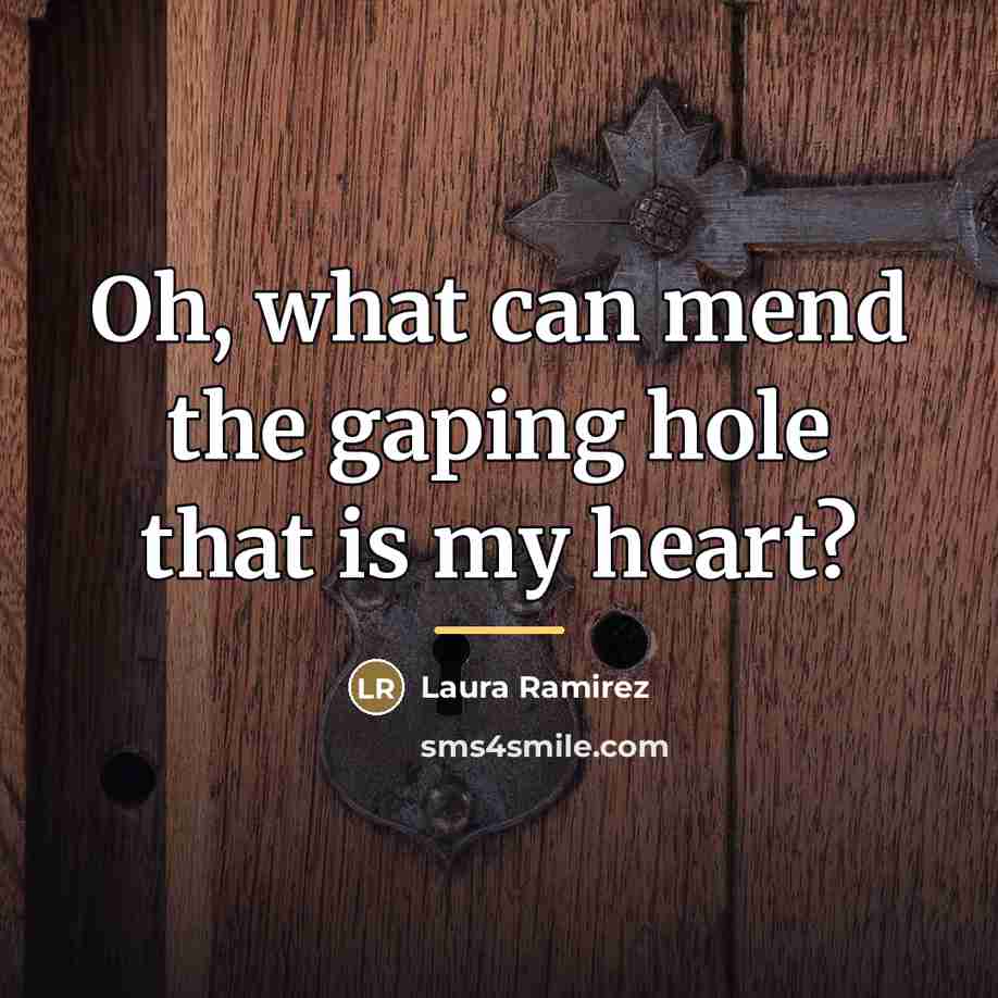 “Oh, what can mend the gaping hole that is my…” quote by Laura Ramirez