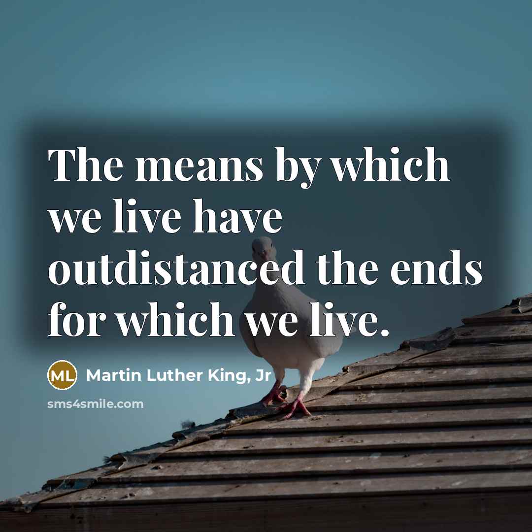 “The means by which we live have outdistanced the ends…” quote by Martin Luther King, Jr