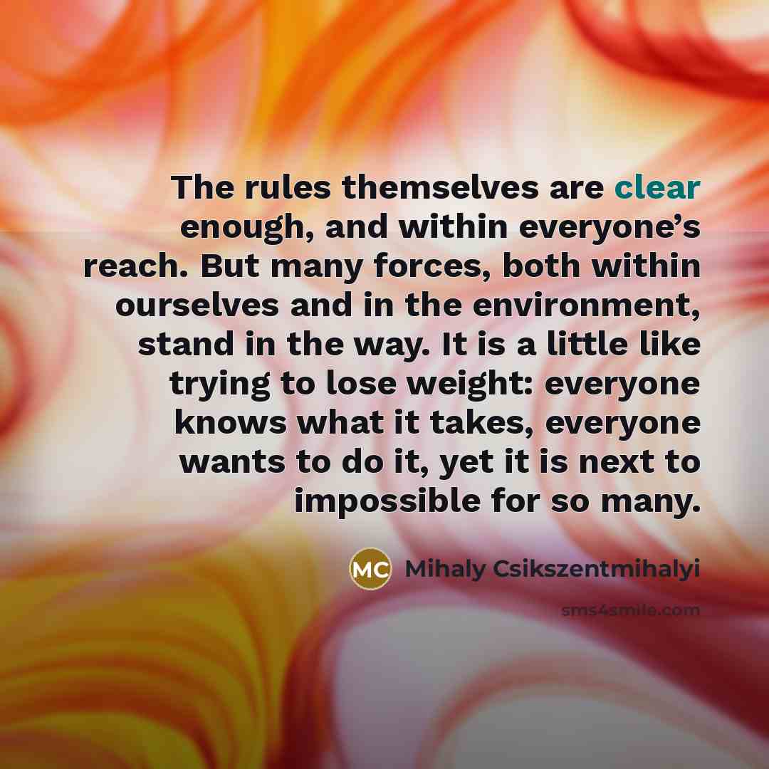 “The rules themselves are clear enough, and within everyone’s reach.…” quote by Mihaly Csikszentmihalyi
