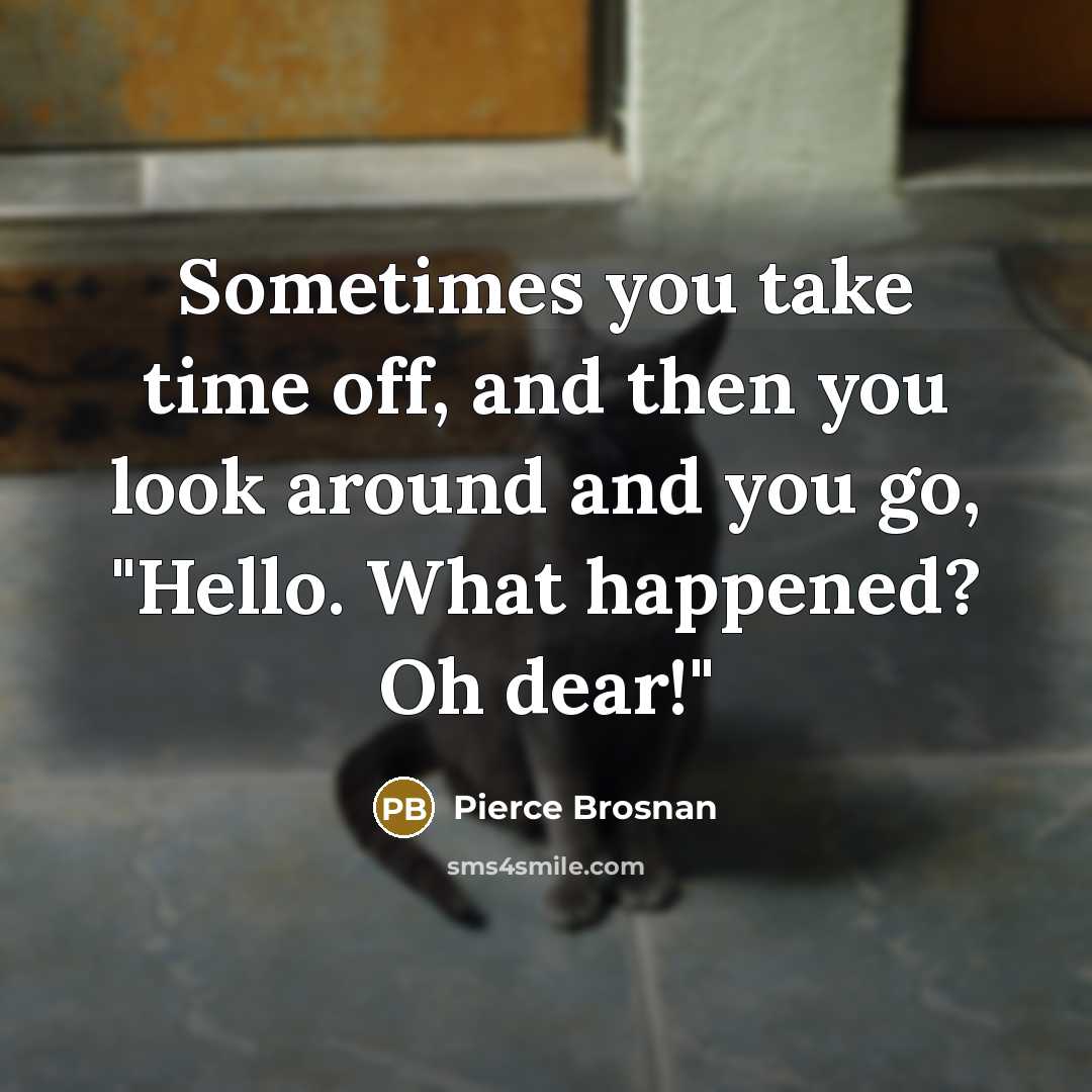 “Sometimes you take time off, and then you look around…” quote by Pierce Brosnan