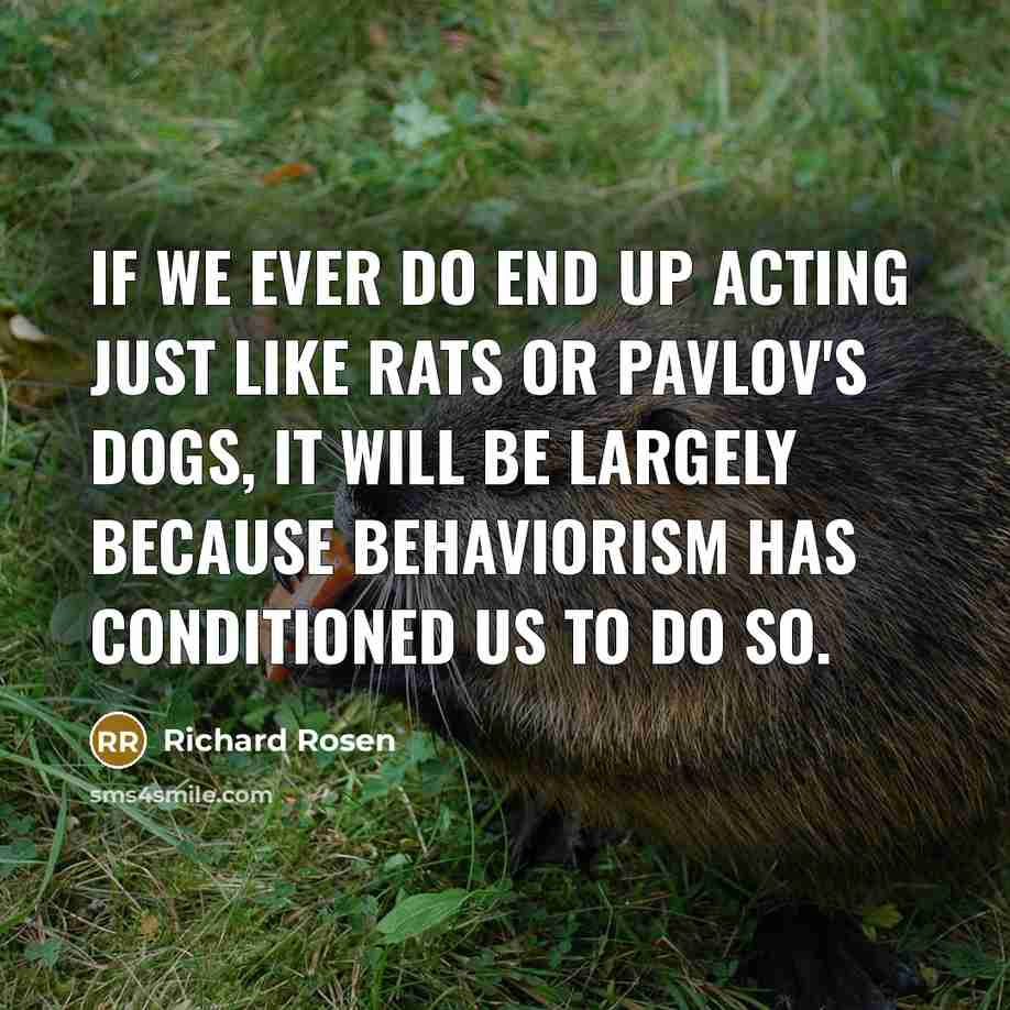 “If we ever do end up acting just like rats…” quote by Richard Rosen