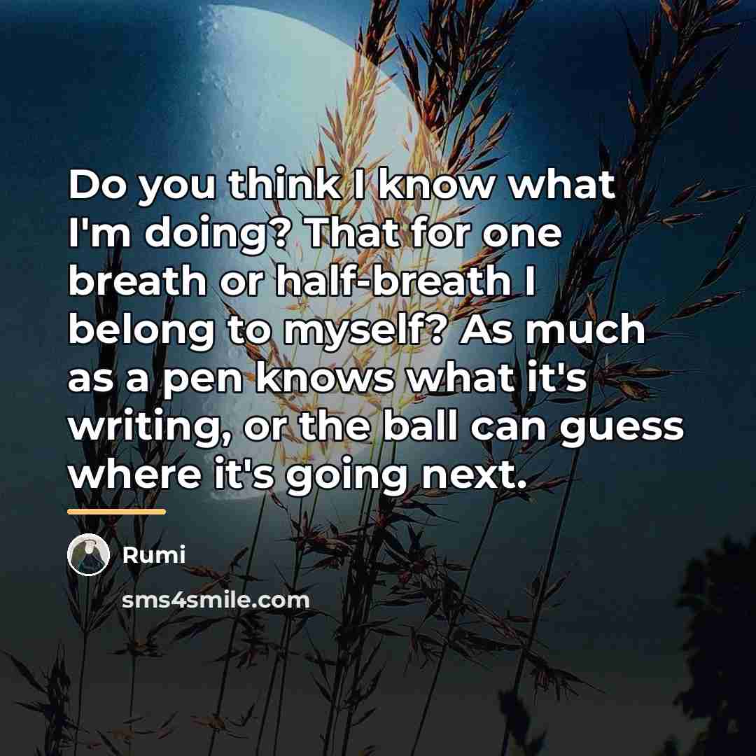 “Do you think I know what I'm doing? That for…” quote by Rumi