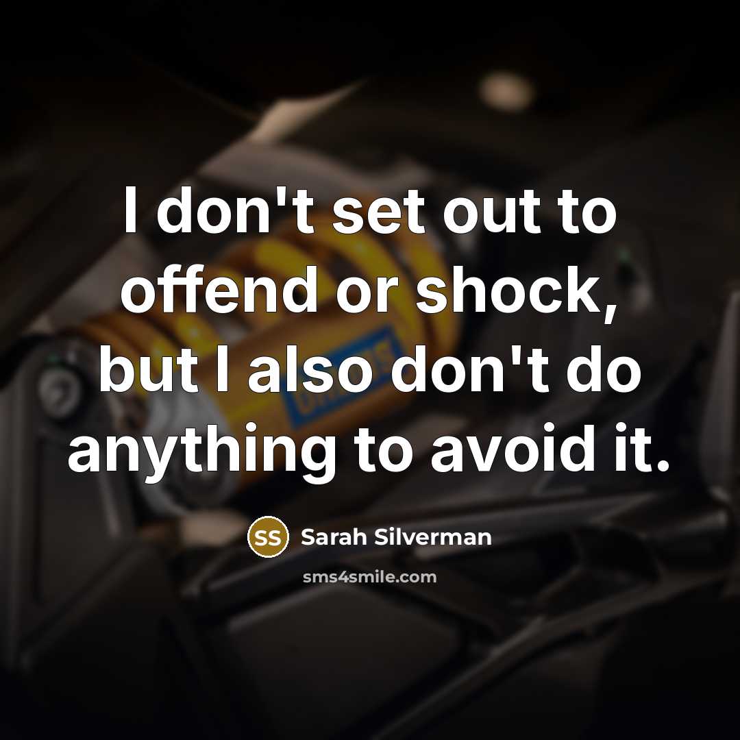 “I don't set out to offend or shock, but I also don't do anything to avoid it.” quote by Sarah Silverman