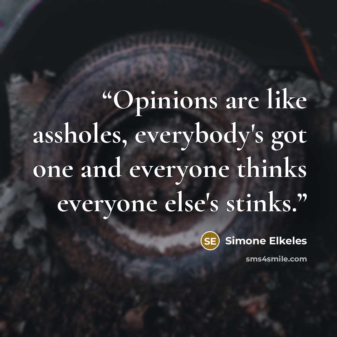 “Opinions are like assholes, everybody's got one and everyone thinks everyone else's stinks.” quote by Simone Elkeles