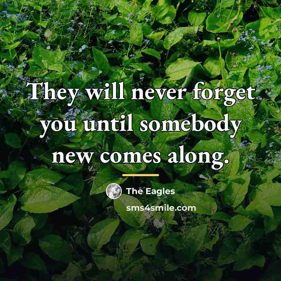 “They will never forget you until somebody new comes along.…” quote by The Eagles