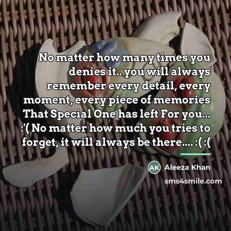 “No matter how many times you denies it.. you will…” quote by Aleeza Khan