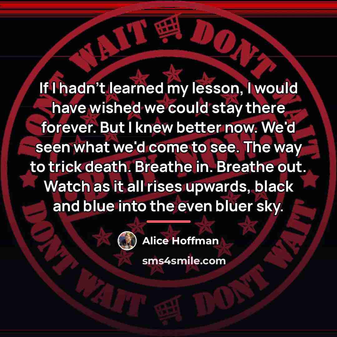“If I hadn't learned my lesson, I would have wished…” quote by Alice Hoffman