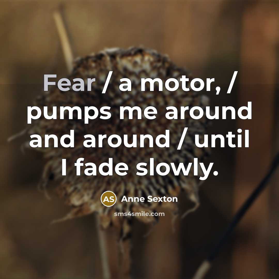 “Fear / a motor, / pumps me around and around…” quote by Anne Sexton