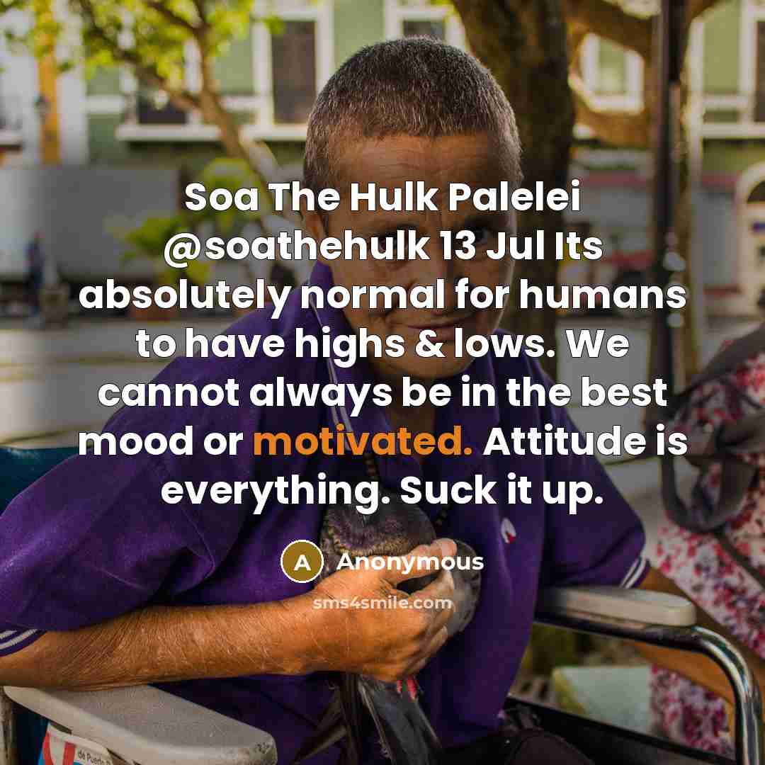 “Soa The Hulk Palelei @soathehulk 13 Jul Its absolutely normal…” quote by Anonymous