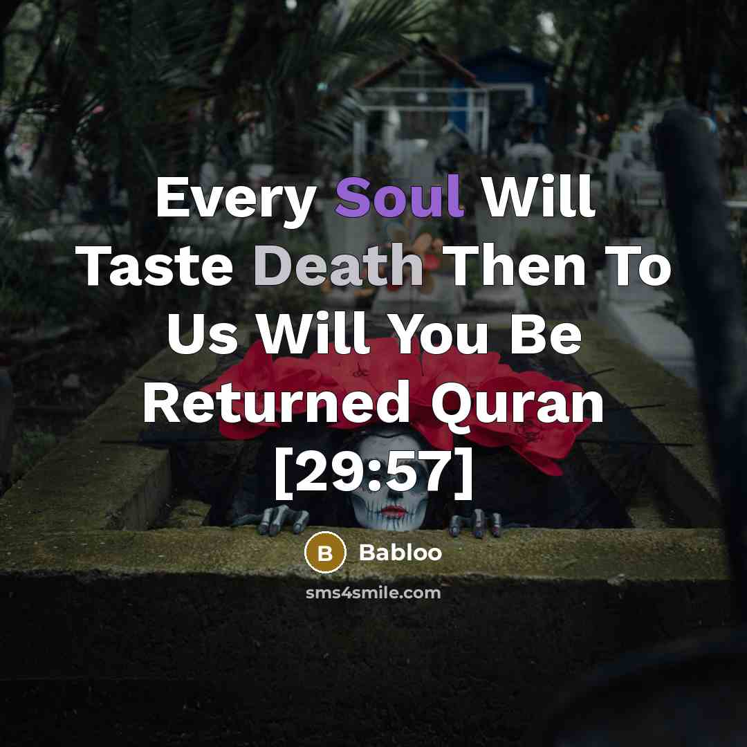 “Every Soul Will Taste Death Then To Us Will You…” quote by Babloo