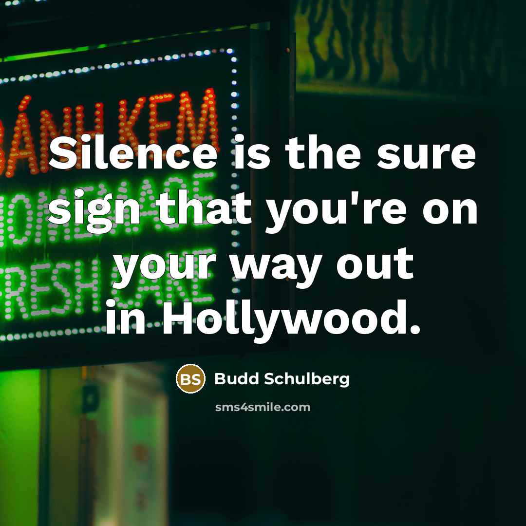 “Silence is the sure sign that you're on your way…” quote by Budd Schulberg