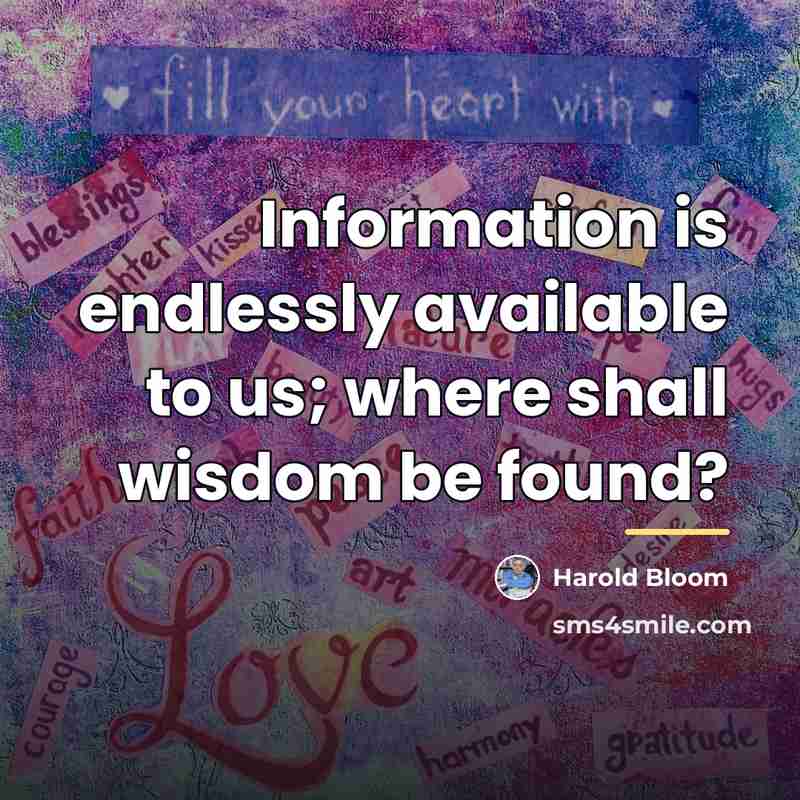“Information is endlessly available to us; where shall wisdom be…” quote by Harold Bloom