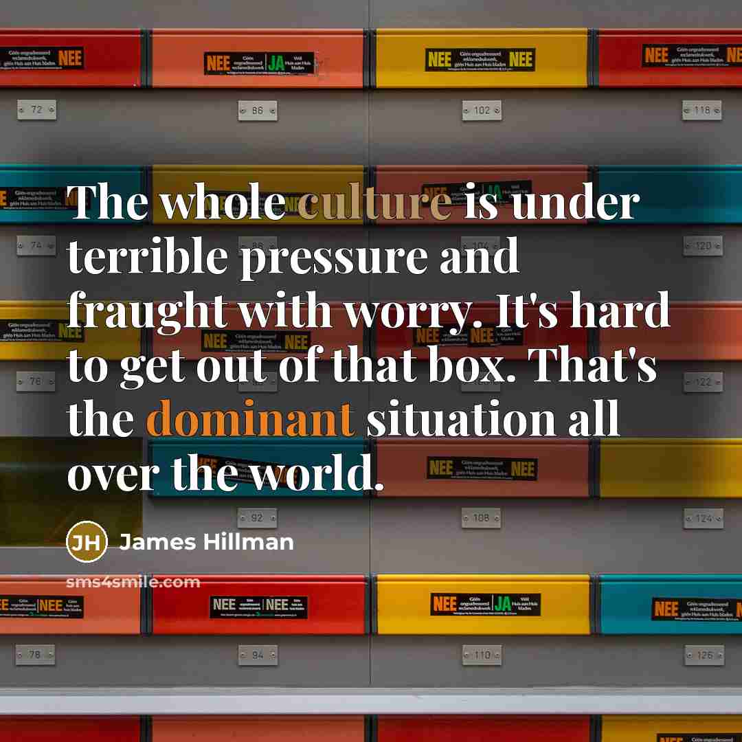 “The whole culture is under terrible pressure and fraught with…” quote by James Hillman