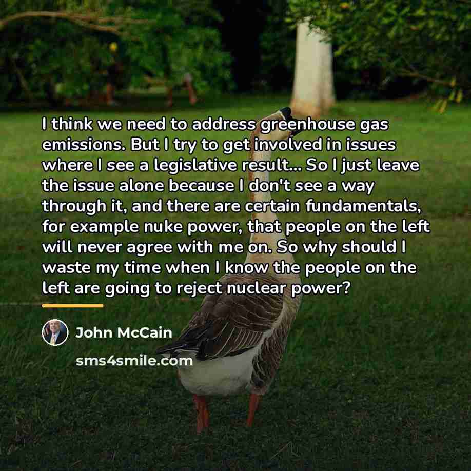 “I think we need to address greenhouse gas emissions. But…” quote by John McCain