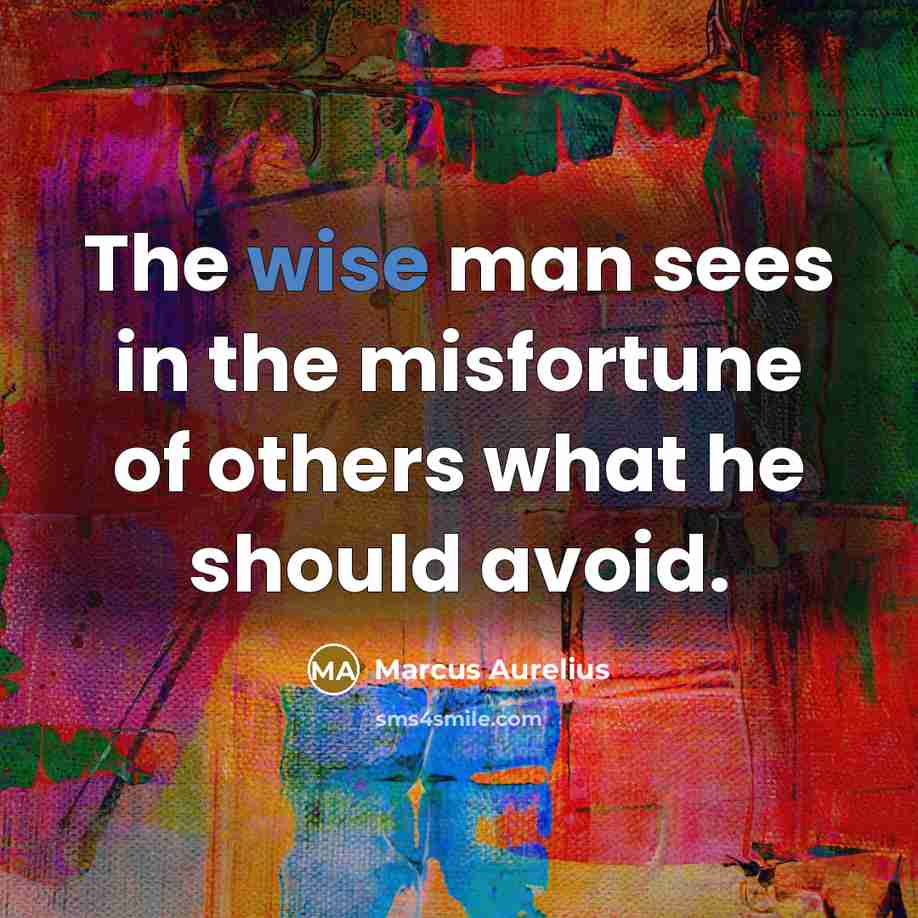 “The wise man sees in the misfortune of others what…” quote by Marcus Aurelius