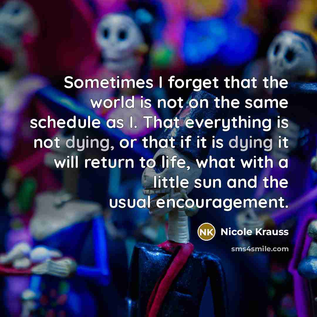 “Sometimes I forget that the world is not on the…” quote by Nicole Krauss