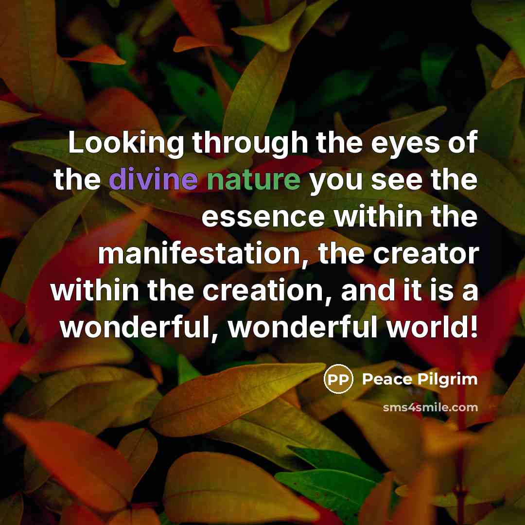 “Looking through the eyes of the divine nature you see…” quote by Peace Pilgrim