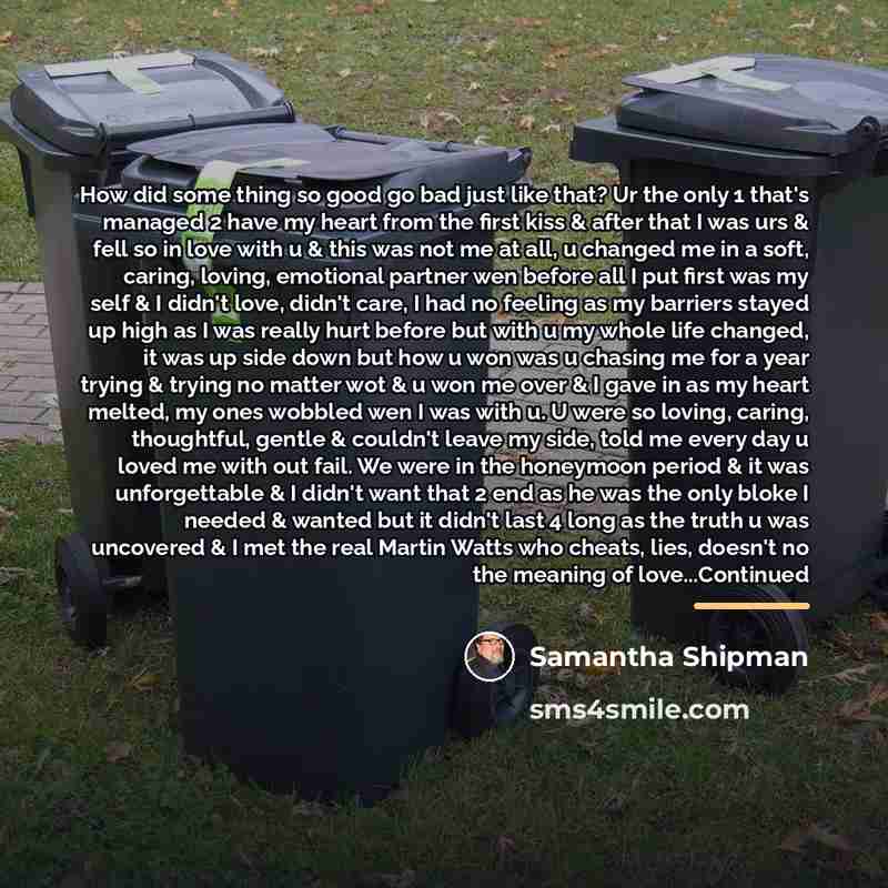 “How did some thing so good go bad just like…” quote by Samantha Shipman