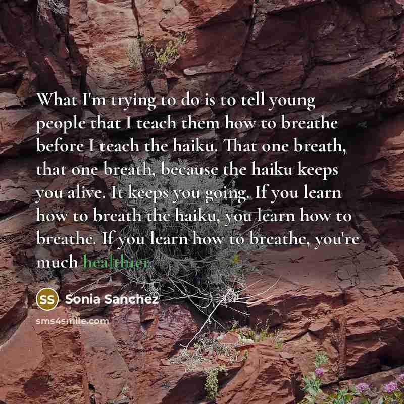“What I'm trying to do is to tell young people…” quote by Sonia Sanchez