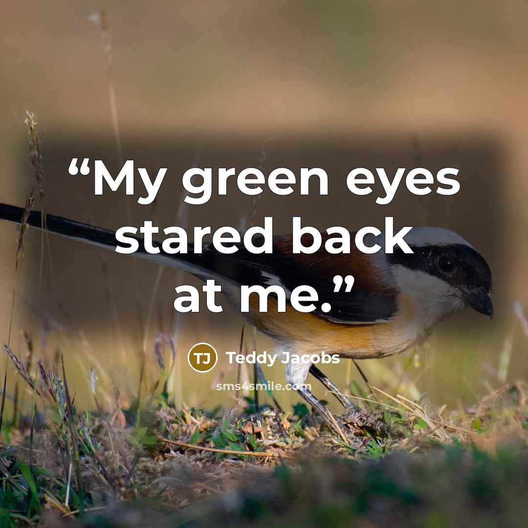 “My green eyes stared back at me.” quote by Teddy Jacobs