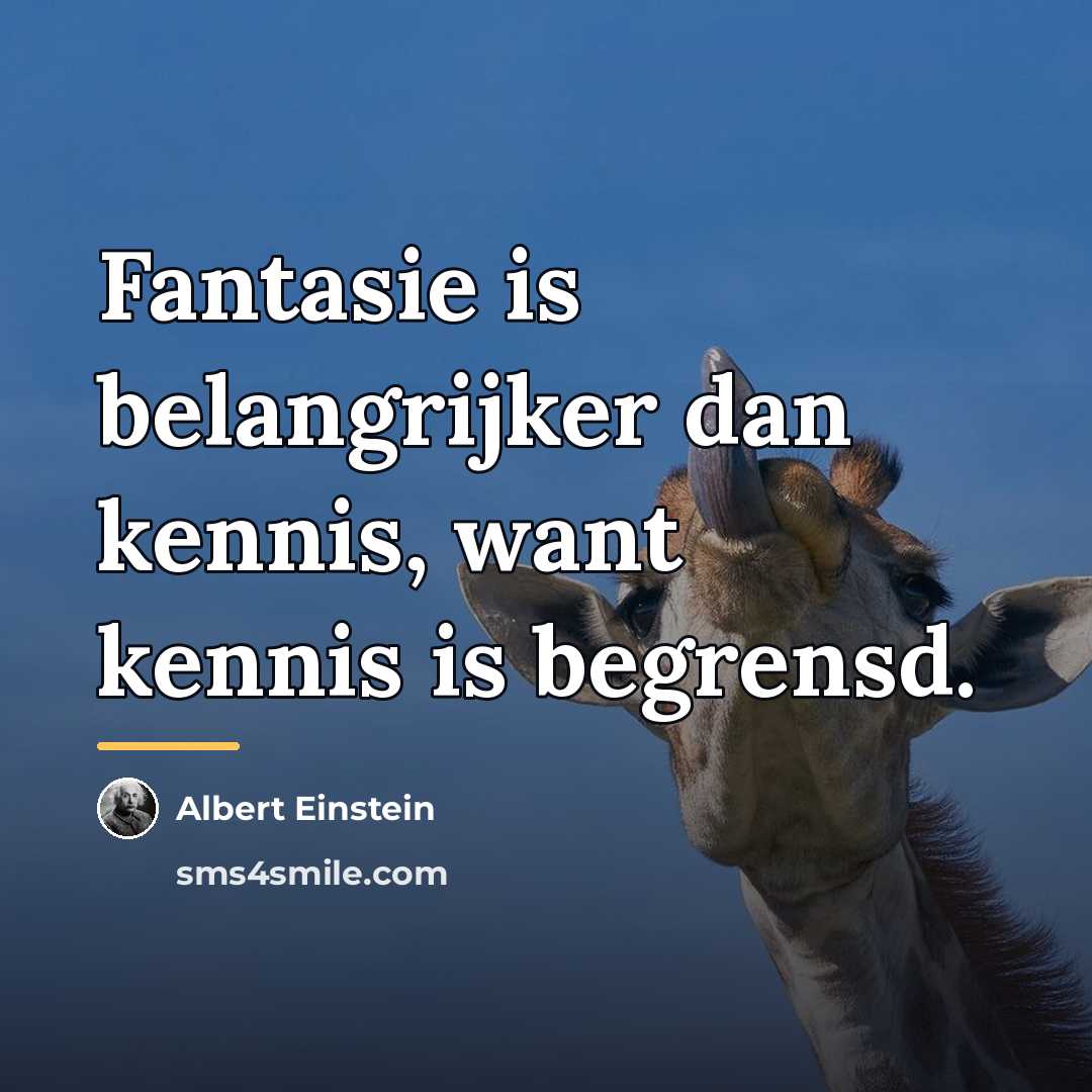 “Fantasie is belangrijker dan kennis, want kennis is begrensd.…” quote by Albert Einstein