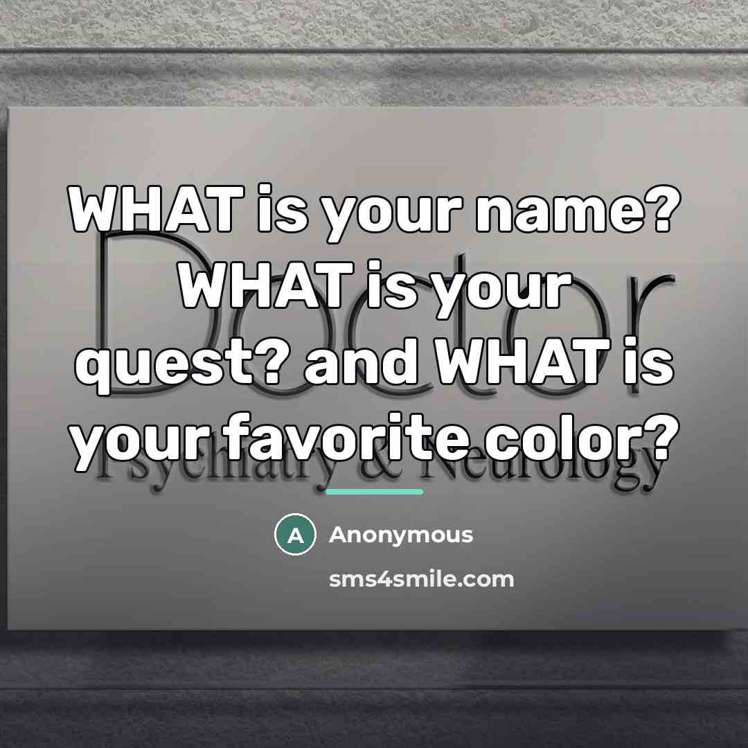 “WHAT is your name? WHAT is your quest? and WHAT…” quote by Anonymous