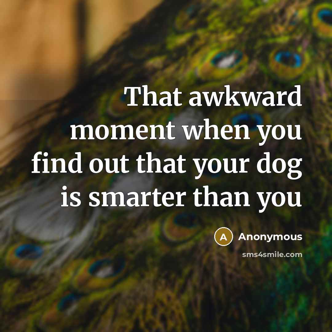 “That awkward moment when you find out that your dog is smarter than you” quote by Anonymous